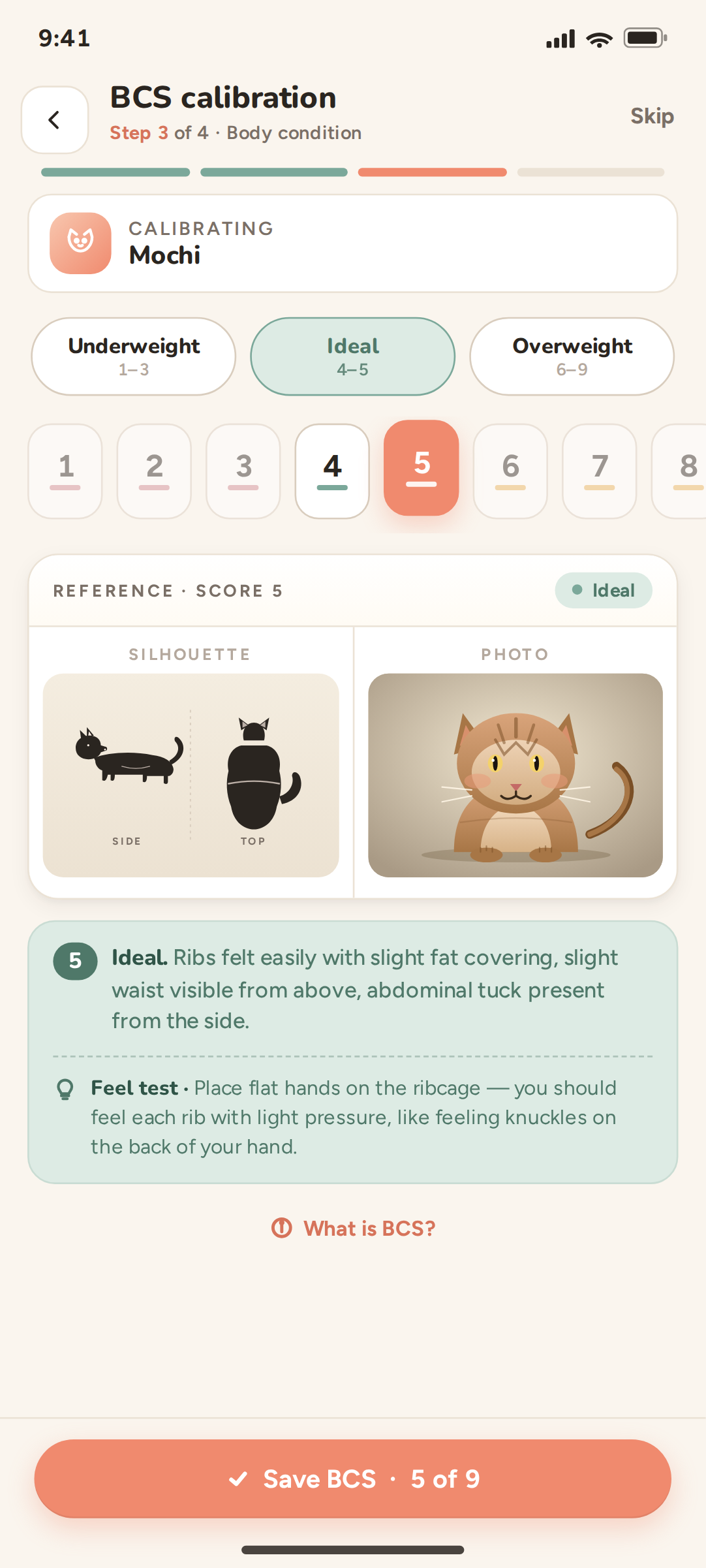 Cat health tracking